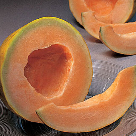 Burpees Hybrid, Melon Seeds - Packet image number null